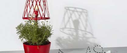 GREEN LAMP